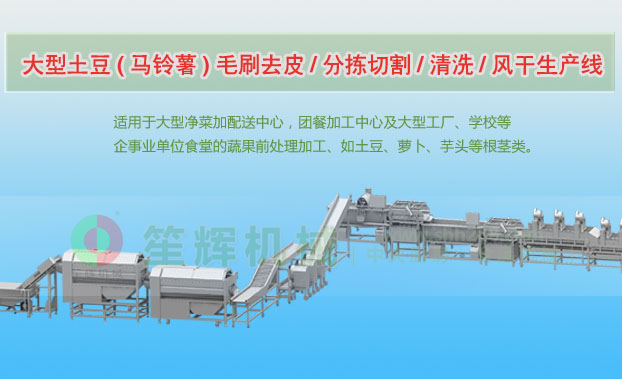 深泽连续式土豆去皮清洗切割风干生产线